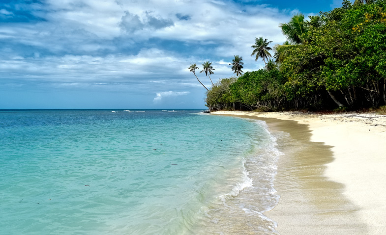 Seven seas beach en el corazon de las croabas